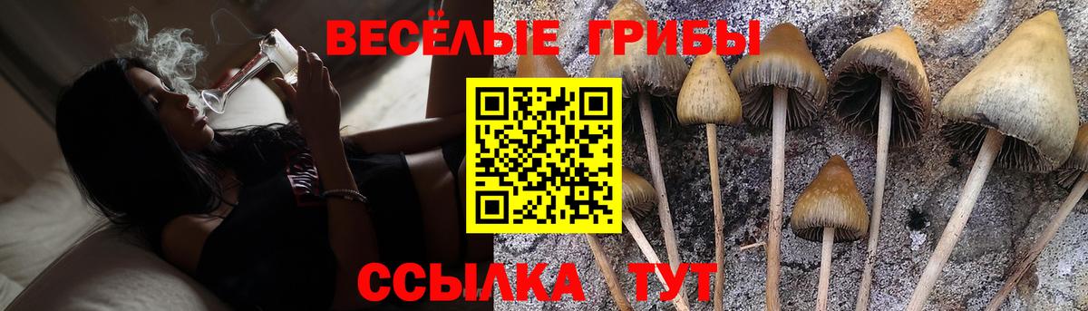 сколько стоит  Вход с VPN  Аргун  Псилоцибиновые грибы Psilocybine cubensis 