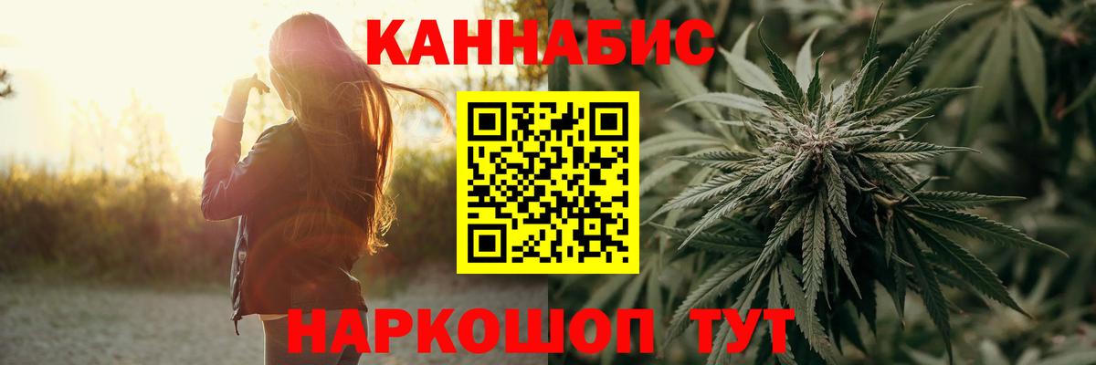 Каннабис сатива  МАРИХУАНА гибрид  Аргун  Вход с VPN  Бошки марихуана конопля 